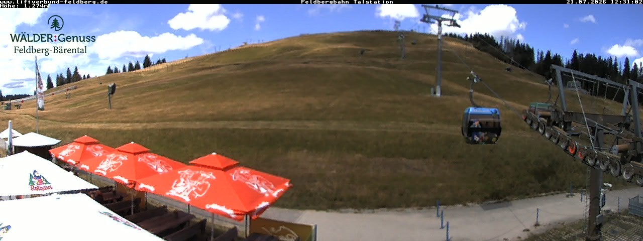 Archiv Foto Webcam Feldberg Seebuck Talstation