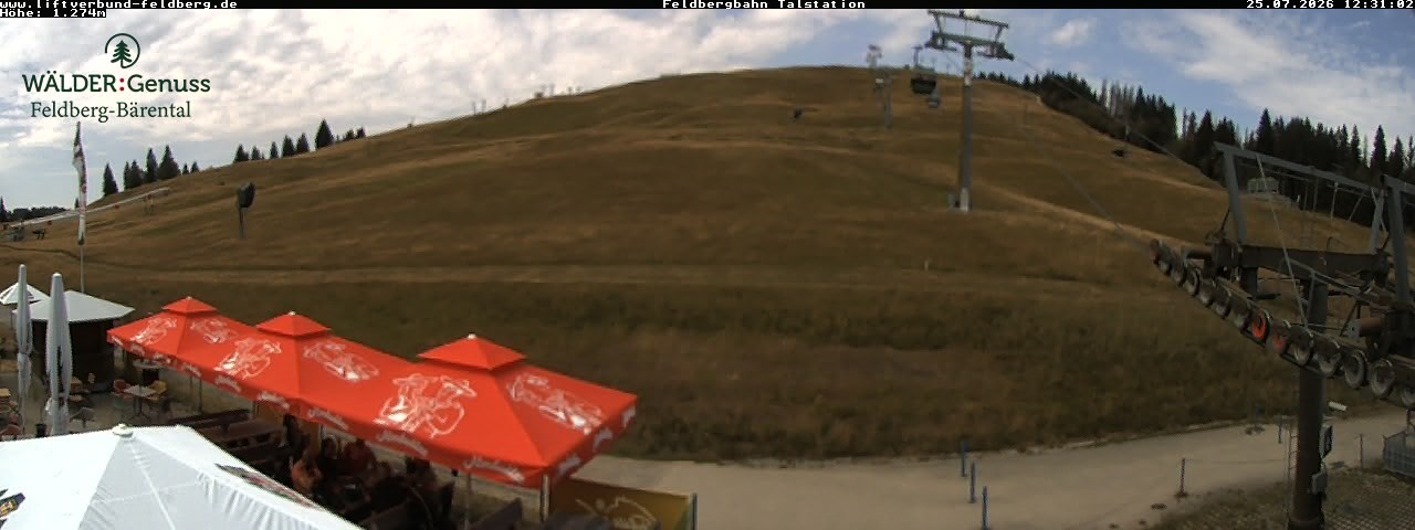Archived image Webcam Feldberg Seebuck valley station