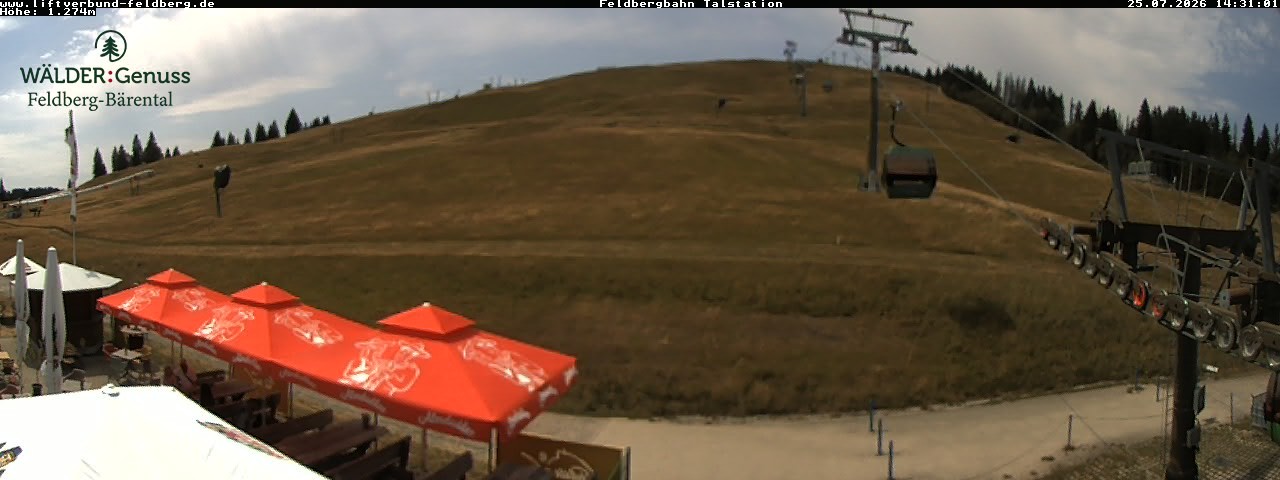 Archived image Webcam Feldberg Seebuck valley station