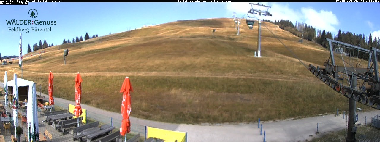 Archived image Webcam Feldberg Seebuck valley station