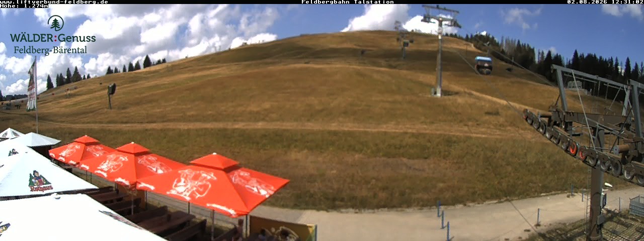 Archived image Webcam Feldberg Seebuck valley station