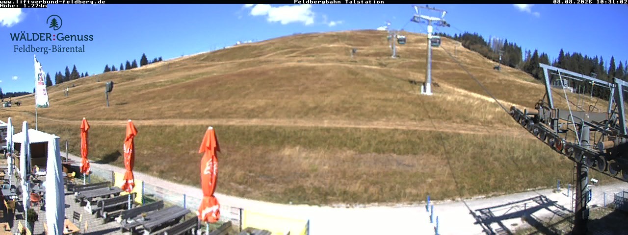 Archived image Webcam Feldberg Seebuck valley station