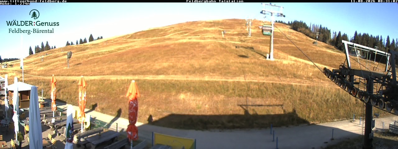 Archiv Foto Webcam Feldberg Seebuck Talstation
