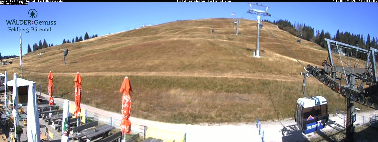 Archiv Foto Webcam Feldberg Seebuck Talstation