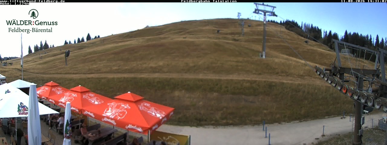Archiv Foto Webcam Feldberg Seebuck Talstation