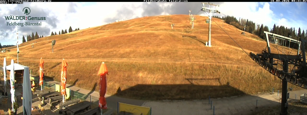 Archiv Foto Webcam Feldberg Seebuck Talstation