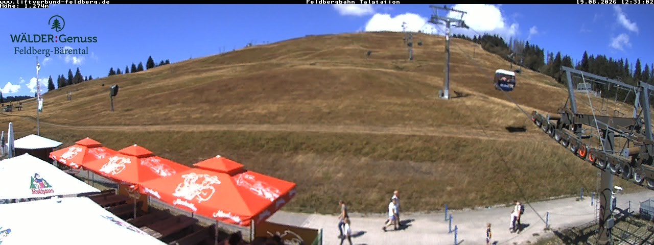 Archived image Webcam Feldberg Seebuck valley station