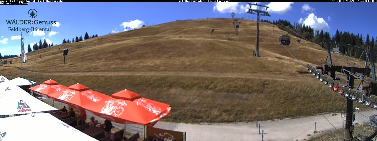 Archived image Webcam Feldberg Seebuck valley station