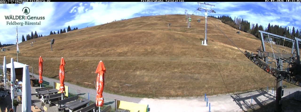 Archived image Webcam Feldberg Seebuck valley station