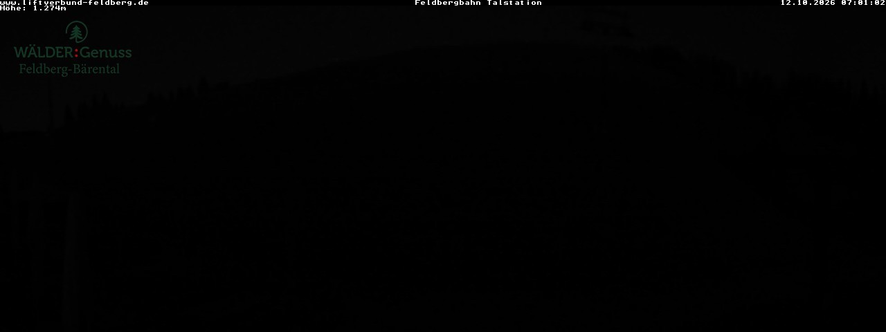 Archiv Foto Webcam Feldberg Seebuck Talstation
