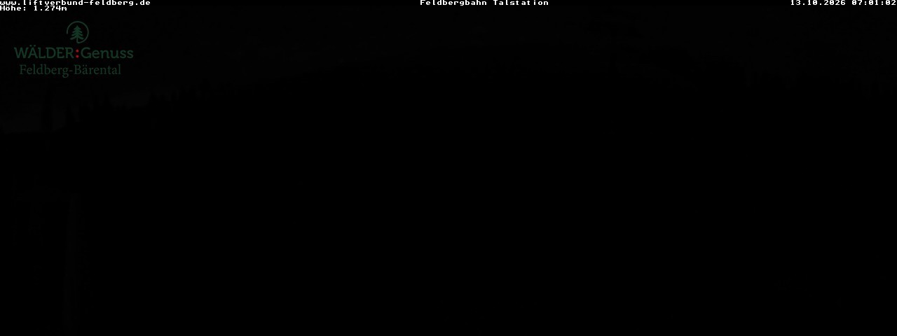 Archiv Foto Webcam Feldberg Seebuck Talstation