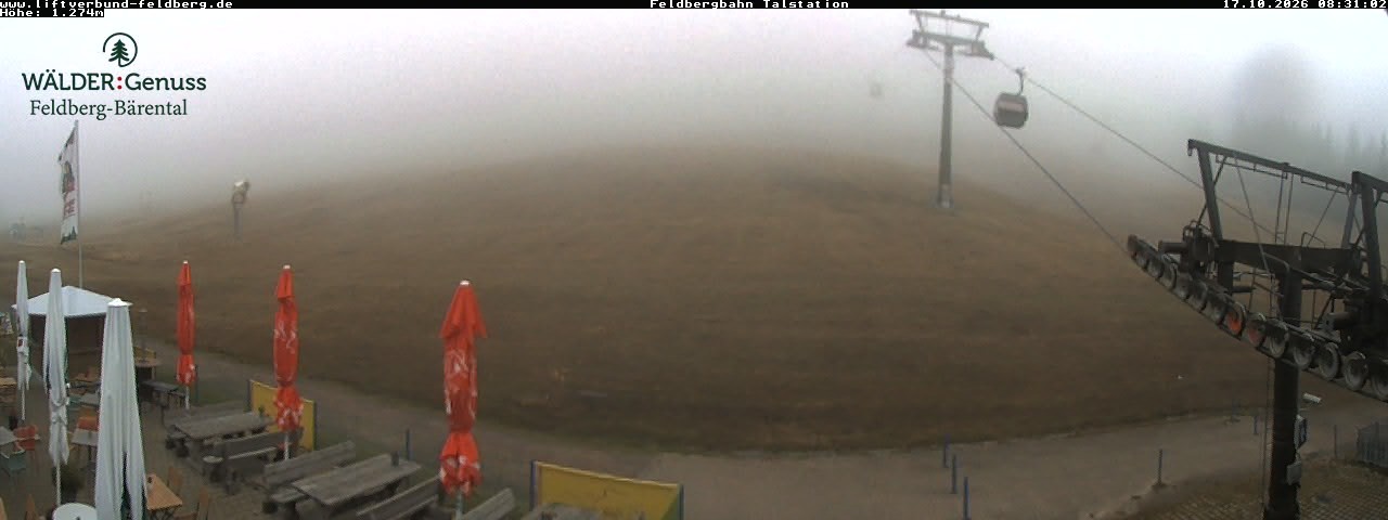 Archived image Webcam Feldberg Seebuck valley station