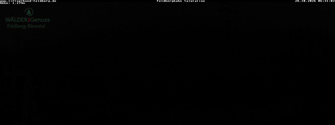 Archiv Foto Webcam Feldberg Seebuck Talstation