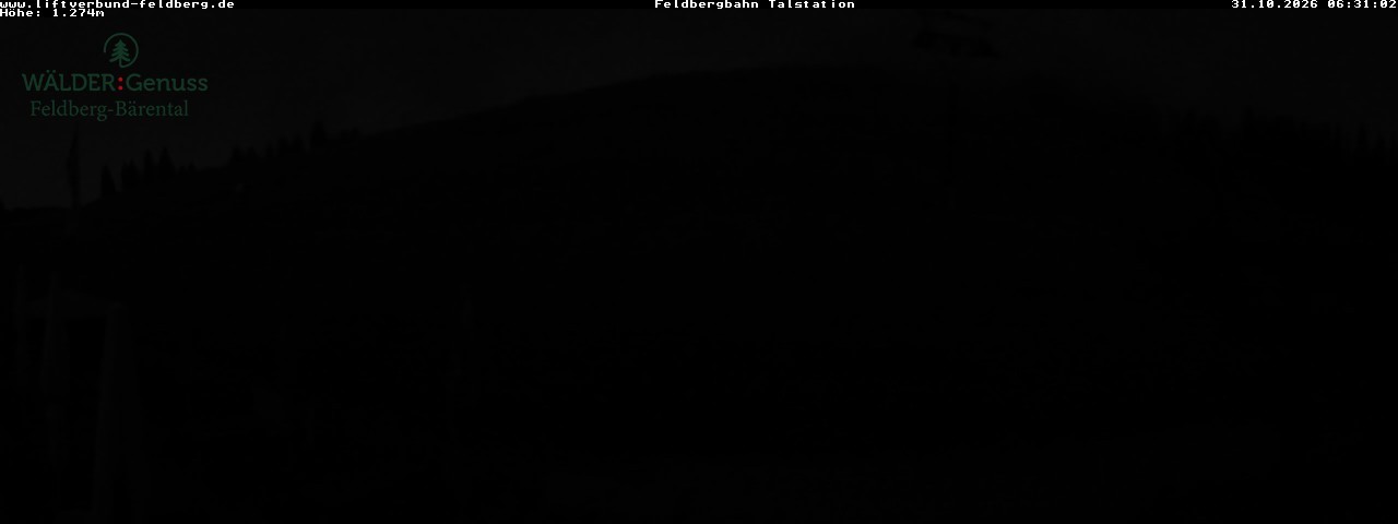 Archiv Foto Webcam Feldberg Seebuck Talstation