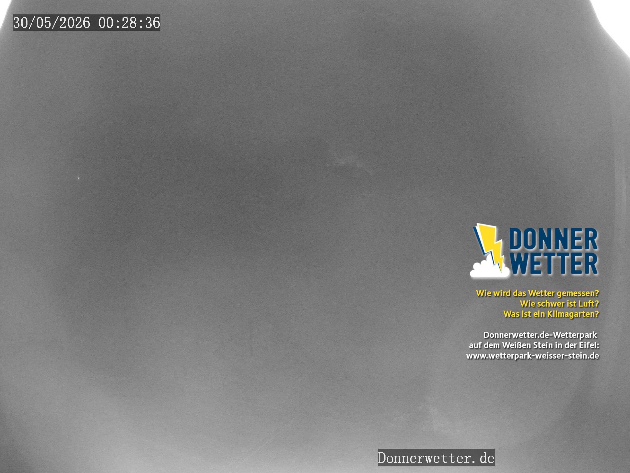 Archiv Foto Webcam Weißer Stein (Eifel)