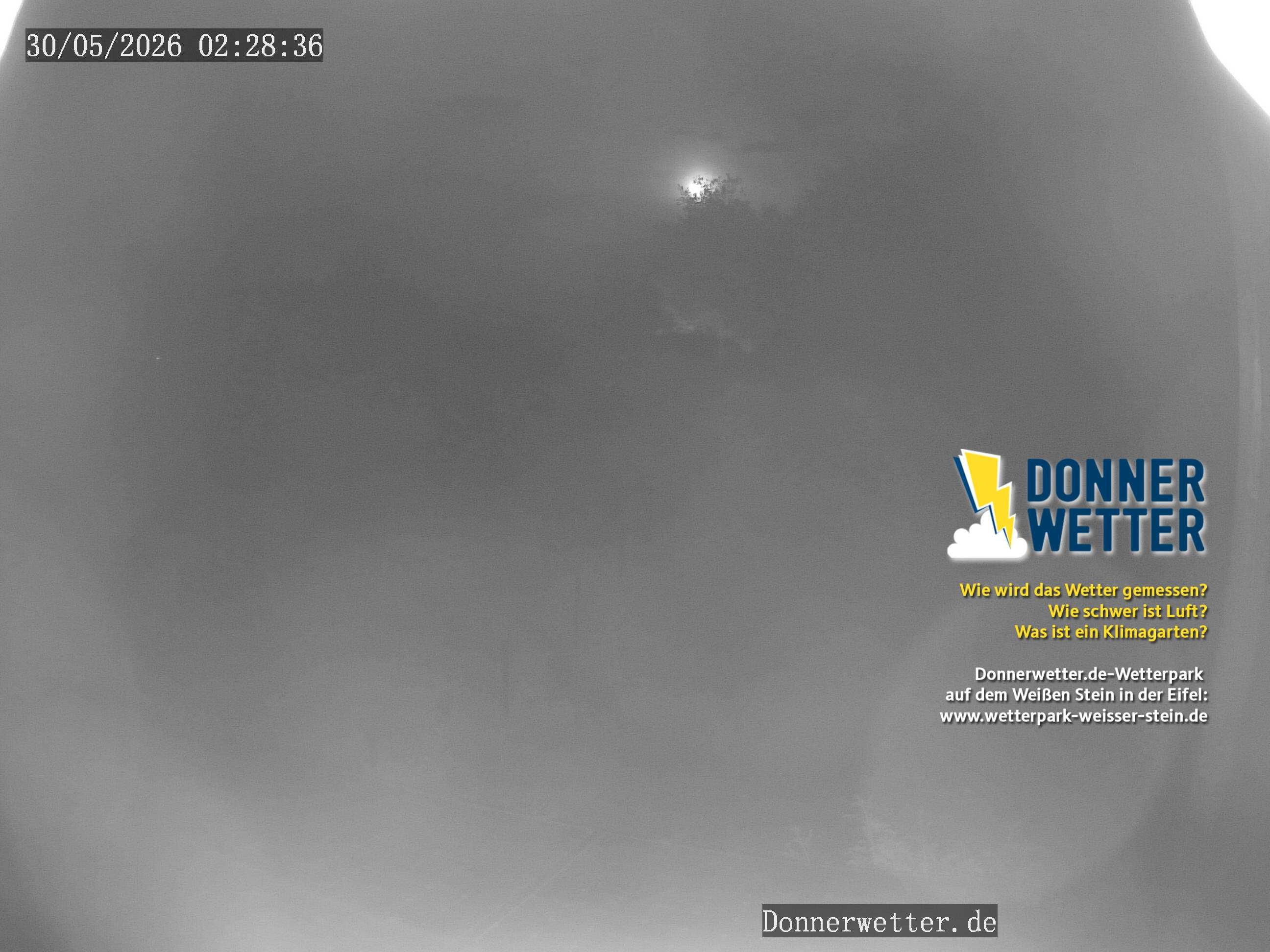 Archiv Foto Webcam Weißer Stein (Eifel)