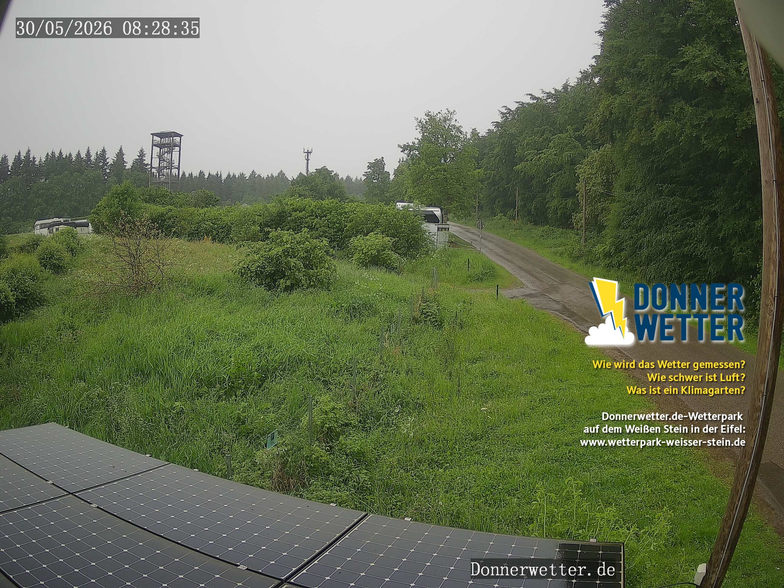 Archiv Foto Webcam Weißer Stein (Eifel)