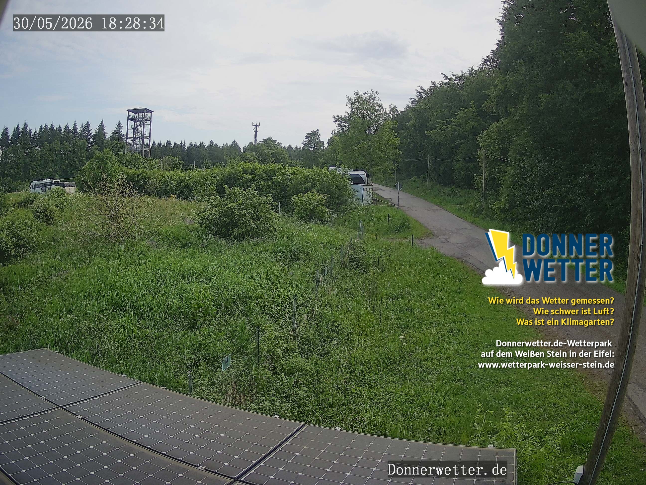 Archiv Foto Webcam Weißer Stein (Eifel)