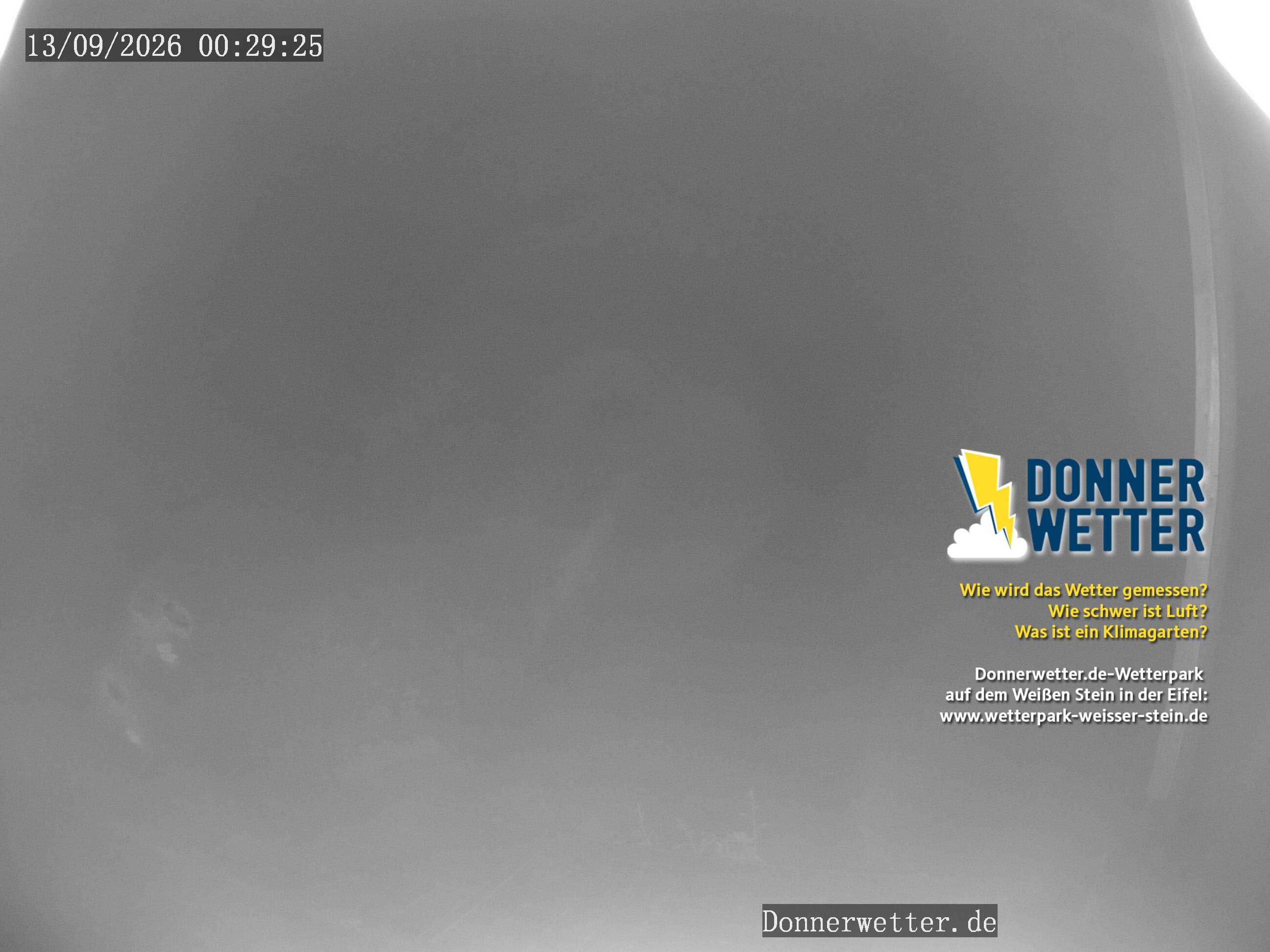 Archiv Foto Webcam Weißer Stein (Eifel)