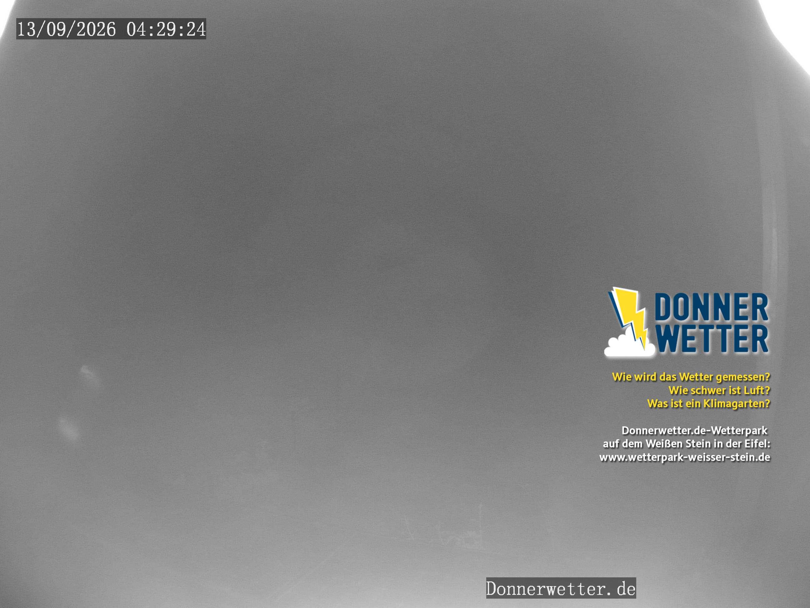 Archiv Foto Webcam Weißer Stein (Eifel)