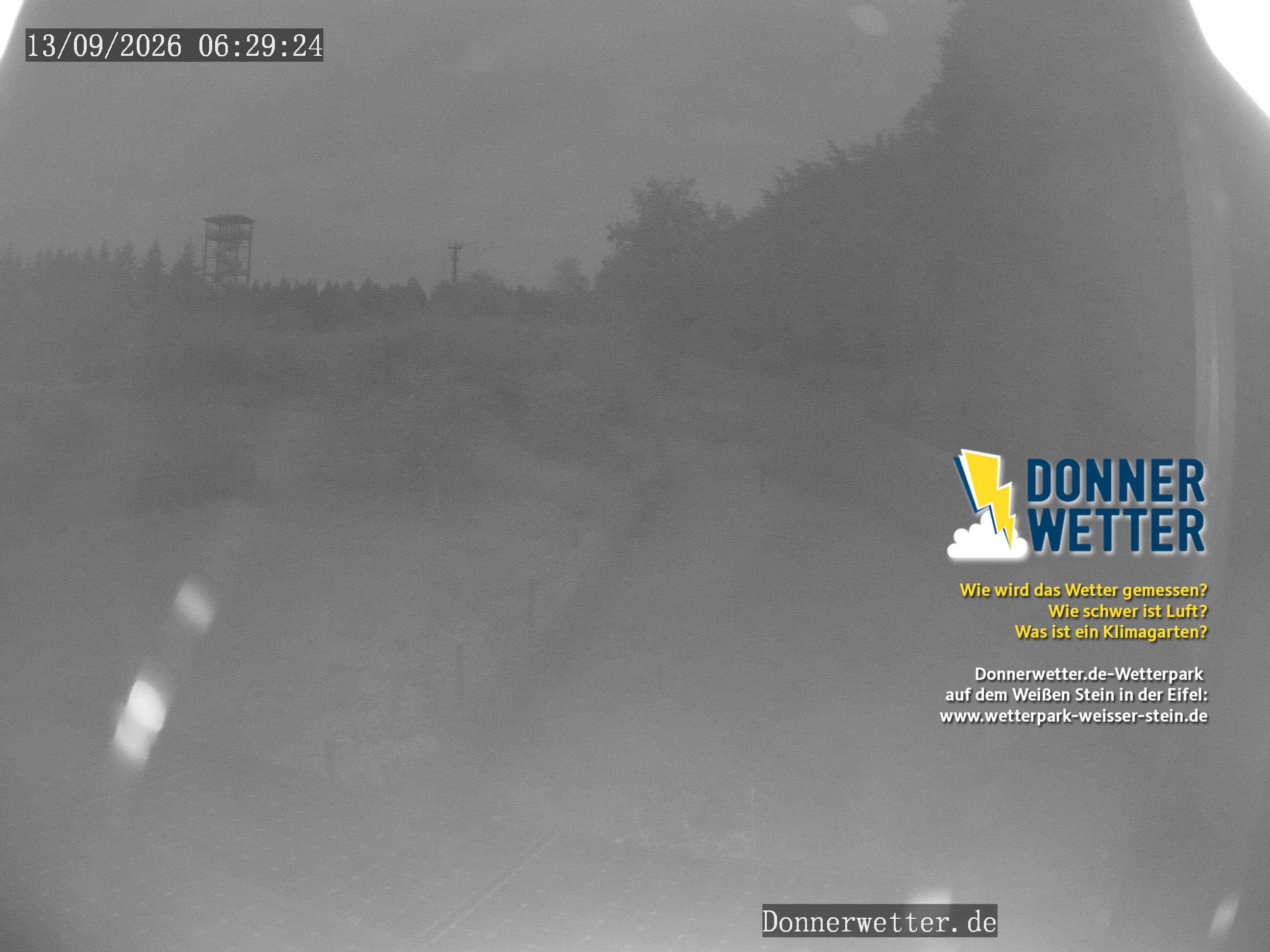 Archiv Foto Webcam Weißer Stein (Eifel)