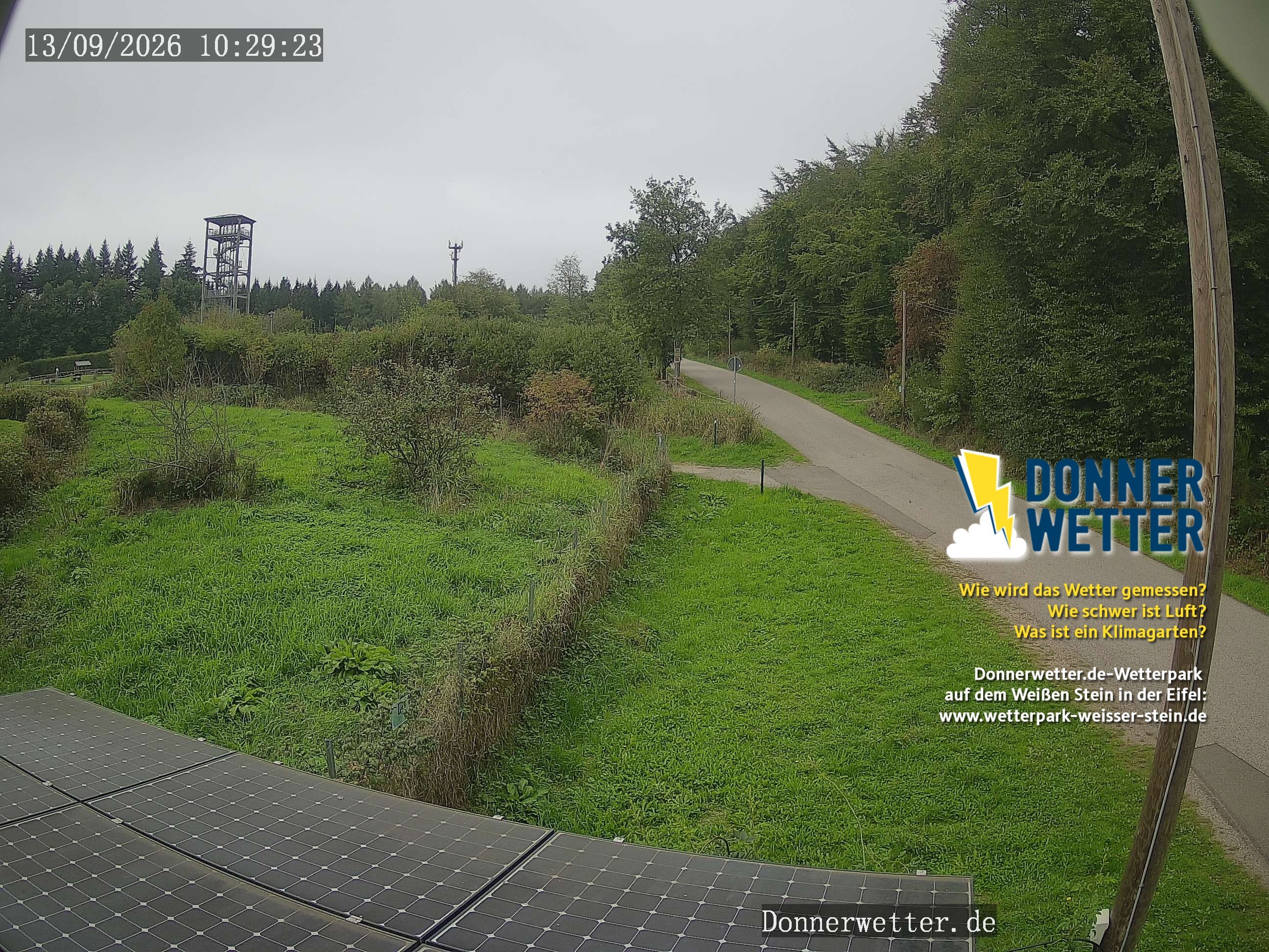 Archiv Foto Webcam Weißer Stein (Eifel)