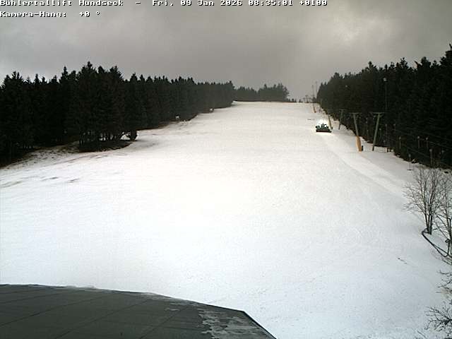 Archiv Foto Webcam Bühlertallift Hundseck Pistenblick