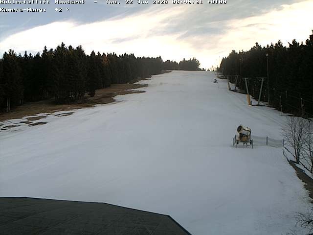 Archiv Foto Webcam Bühlertallift Hundseck Pistenblick