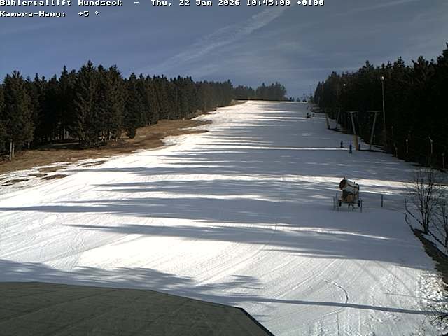 Archiv Foto Webcam Bühlertallift Hundseck Pistenblick