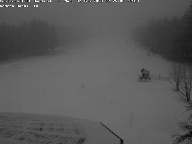 Archiv Foto Webcam Bühlertallift Hundseck Pistenblick