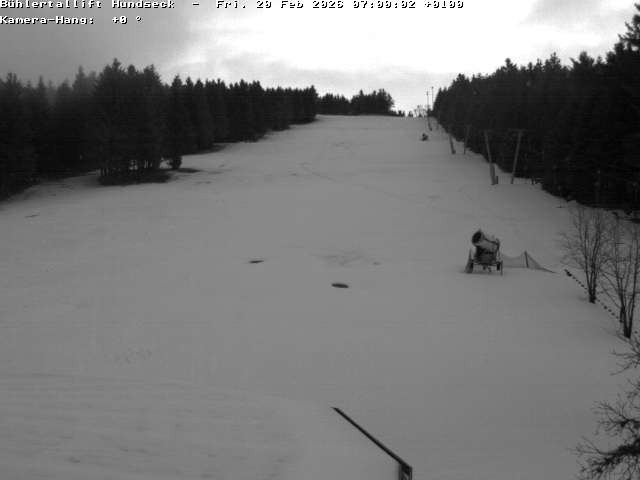 Archiv Foto Webcam Bühlertallift Hundseck Pistenblick