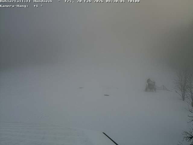 Archiv Foto Webcam Bühlertallift Hundseck Pistenblick