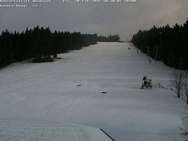 Archiv Foto Webcam Bühlertallift Hundseck Pistenblick