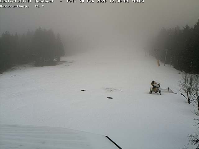 Archiv Foto Webcam Bühlertallift Hundseck Pistenblick