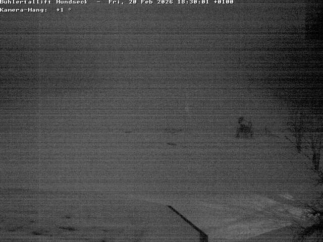 Archiv Foto Webcam Bühlertallift Hundseck Pistenblick