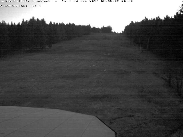 Archiv Foto Webcam Bühlertallift Hundseck Pistenblick