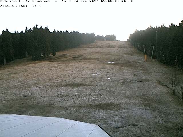 Archiv Foto Webcam Bühlertallift Hundseck Pistenblick