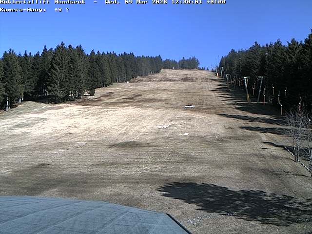 Archiv Foto Webcam Bühlertallift Hundseck Pistenblick