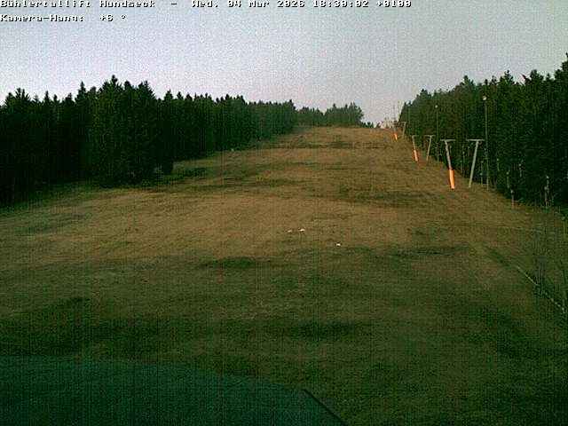 Archiv Foto Webcam Bühlertallift Hundseck Pistenblick