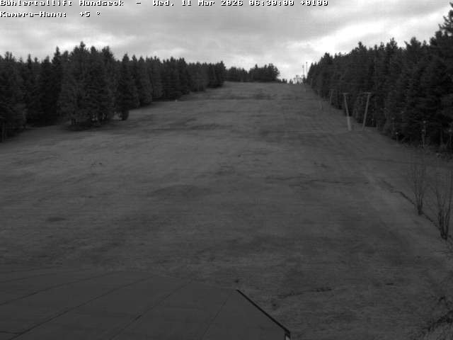 Archiv Foto Webcam Bühlertallift Hundseck Pistenblick