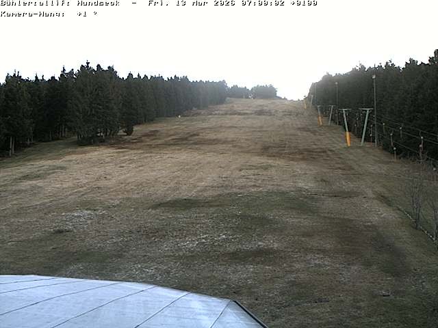 Archiv Foto Webcam Bühlertallift Hundseck Pistenblick