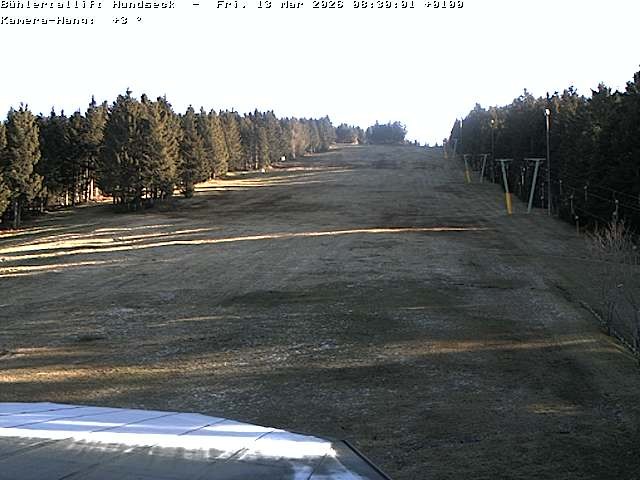 Archiv Foto Webcam Bühlertallift Hundseck Pistenblick