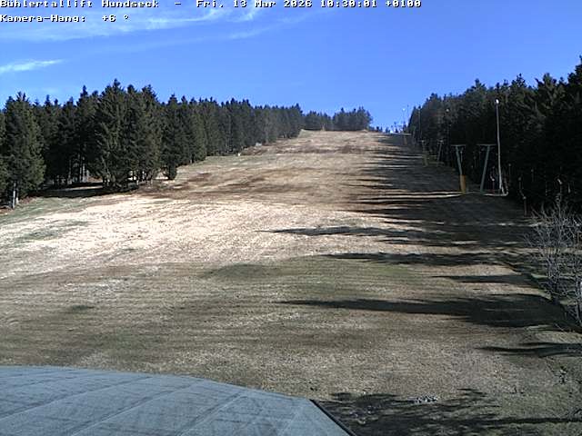 Archiv Foto Webcam Bühlertallift Hundseck Pistenblick