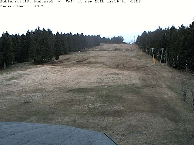 Archiv Foto Webcam Bühlertallift Hundseck Pistenblick