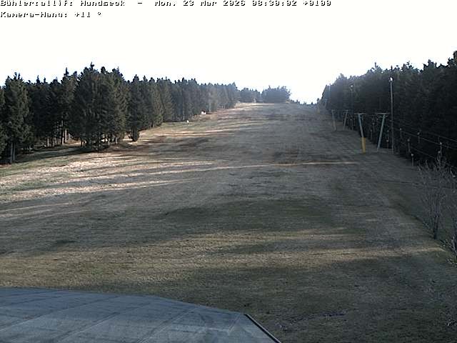 Archiv Foto Webcam Bühlertallift Hundseck Pistenblick