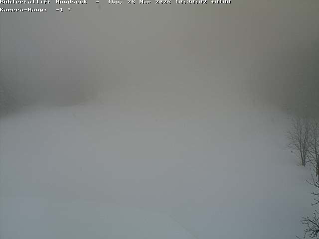 Archiv Foto Webcam Bühlertallift Hundseck Pistenblick