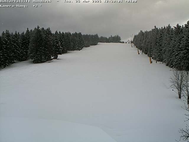 Archiv Foto Webcam Bühlertallift Hundseck Pistenblick