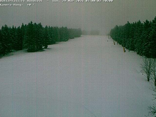 Archiv Foto Webcam Bühlertallift Hundseck Pistenblick