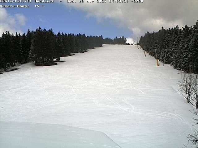 Archiv Foto Webcam Bühlertallift Hundseck Pistenblick