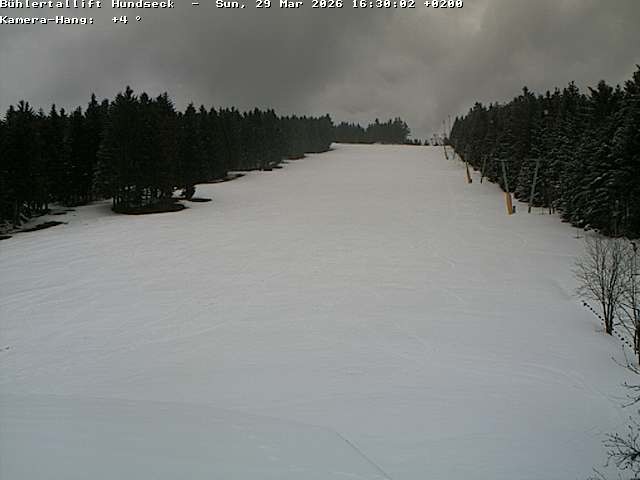 Archiv Foto Webcam Bühlertallift Hundseck Pistenblick